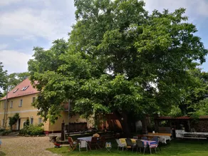 Privatzimmer mit Terrasse - Image 4
