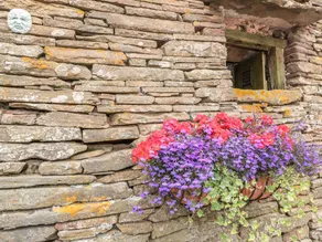 Cottage with garden - Image 3