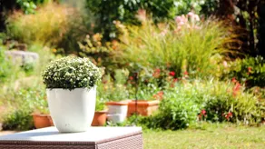 Apartment 'Jung Und Lind' with Private Terrace, Private Garden and Wi-Fi - Image 4