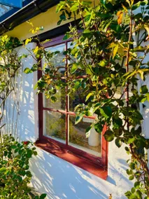 Children-friendly villa with garden, BBQ & pool | Next to the beach | Dogs allowed - Image 5