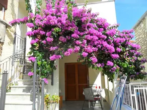 Holiday apartment with terrace - Image 5