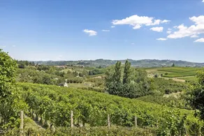 Casa Carbone - Image 3