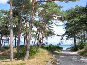 Children-friendly house with terrace & sauna | Next to the beach - Image 4