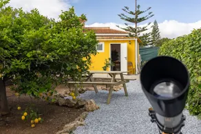 Maison avec sauna - Image 2
