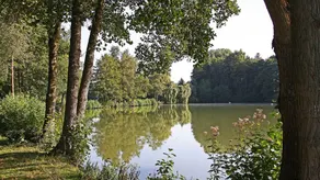 Pleasant apartment | Garden view - Image 3