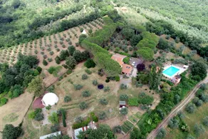 Pereti: Yurta Luna - Image 2