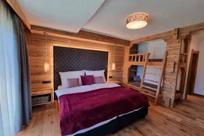 Children-friendly nice chalet with garden, barbecue & terrace | Pets allowed - Image 4