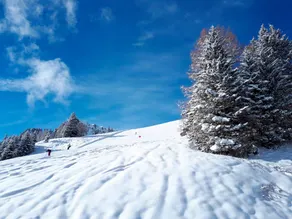 Family-friendly holiday apartment | Ski nearby - Image 3