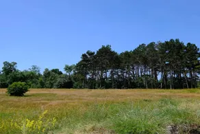 Holiday home with terrace & sauna - Image 2