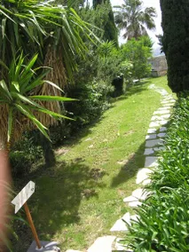 Terrazza Belvedere: STELLA DEL NORD - Image 5