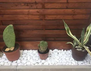 Charmante maison avec barbecue, jardin et terrasse | Avec animaux acceptés - Image 5