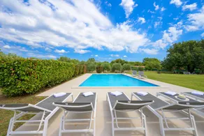 Beautiful villa with barbeque, terrace & pool | Pets are welcome - Image 5