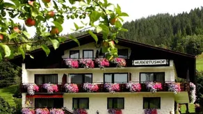Fantastico appartamento accogliente e familiare con giardino | Vista sulla montagna | Accanto allo sci | Ideale per lavorare da remoto - Image 5