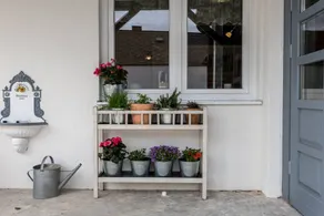 Fully equipped house with garden & terrace - Image 4
