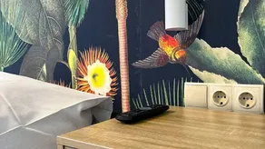 Doppelzimmer für 4 Personen (20 m²) in Grömitz - Image 5