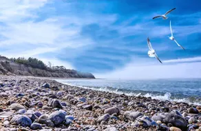 Children-friendly flat with terrace | Beach nearby | Pet-friendly - Image 3