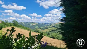 Fully equipped pleasant gite with barbeque, terrace & garden | Pets are welcome - Image 5