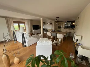 Beautiful flat with sauna, garden & private pool | Pets are welcome - Image 5
