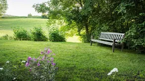 Apartment with 2 bedrooms - forests vacancy - holiday home for connoisseurs - Image 4