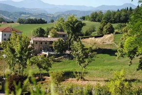 Petrarosa Del Montale: Camera budget - Image 3