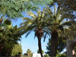 Villa with garden, private pool & BBQ - Image 5