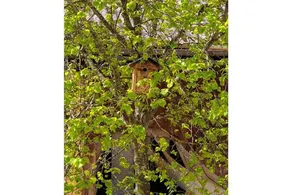 House with terrace | Dogs allowed - Image 4