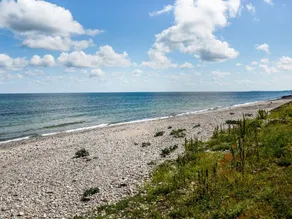 Family-friendly holiday home with terrace & BBQ | Next to the beach | Pets allowed - Image 3