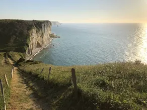 Haven of nature between forest and sea in Normandy - Image 3