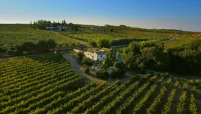 Villa with terrace, private pool & garden | Garden view - Image 2