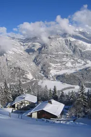 Maison entièrement équipée avec barbecue, terrasse et piscine | Vue montagne | Avec animaux admis - Image 4