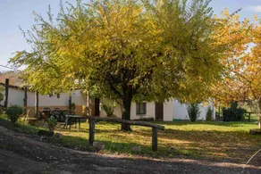 Wonderful house with terrace, pool & garden | Mountain view | Dogs allowed - Image 2