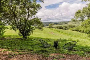 Peaceful Tiny House with Great Sights in Eureka, New South Wales - Image 3