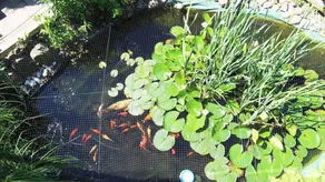Appartamento con giardino, terrazza e griglia - Image 3