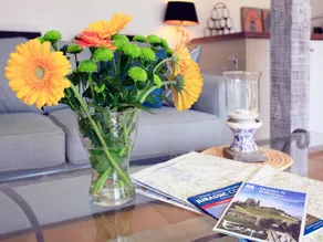 Alpaca Cottage - Image 4
