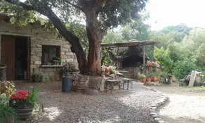 Fattoria Nuraghe Murtarba - Image 3