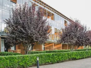 Wohnung mit beheiztem Pool und Terrasse | Haustiere erlaubt - Image 3