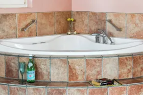 Fully equipped holiday home with private pool, jacuzzi & sauna | Pet-friendly - Image 5