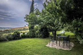 Azienda Agricola Poderuccio: Il Mandorlo - Image 4
