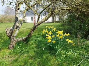 House with terrace, BBQ & garden - Image 2