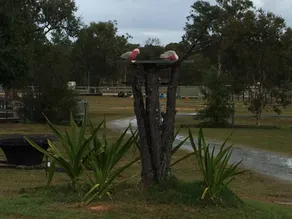 Real Aussie Farmstay (Cottage) - Image 3