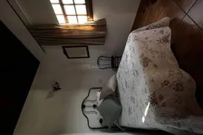 Casa con giardino, piscina privata e terrazza | Vista sul mare - Image 2