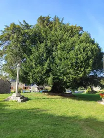 Casa rural apropiada para familias con terraza, barbacoa y jardín | Vistas al jardín | Ideal para trabajar remoto | Admite mascotas - Image 3