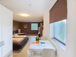 Nice flat with garden, terrace & sauna | Pets are welcome - Image 3