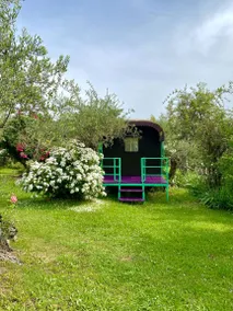 Azienda Agricola Della Mezzaluna: Rigogolo - Image 2