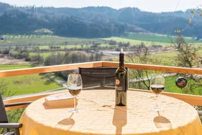 Appartamento accogliente e familiare con giardino, idromassaggio e piscina riscaldata | Vista sul giardino | Ideale per il telelavoro - Image 3
