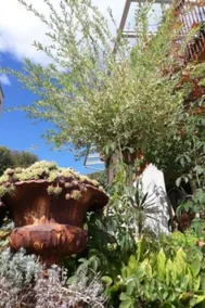 Appartamento con giardino | Vista sulla natura - Image 3