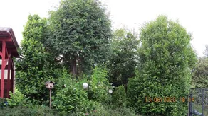 Familienfreundliches wunderschönes Ferienhaus mit Terrasse, Grill und Garten | Haustierfreundlich - Image 3