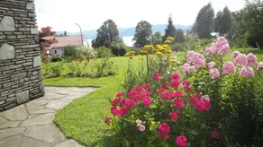 Doppelzimmer für 3 Personen in Seewalchen am Attersee - Image 4