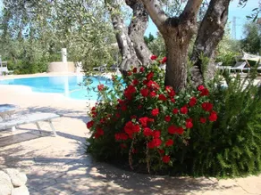 Agriturismo I Tesori del Sud Country House: Agriturismo I Tesori del Sud adatto a famiglie con bambini a Vieste in Puglia, casette a schiera con giardino - Image 3