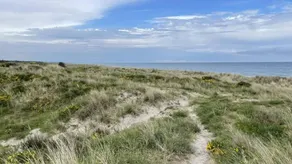 Maison de vacances avec 4 chambres à coucher pour 8 personnes - Image 3